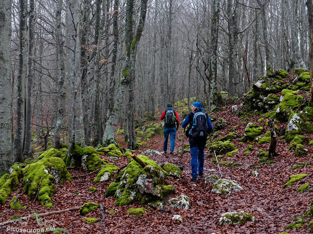 Monte Aizkorri y sus bosques, Pais Vasco