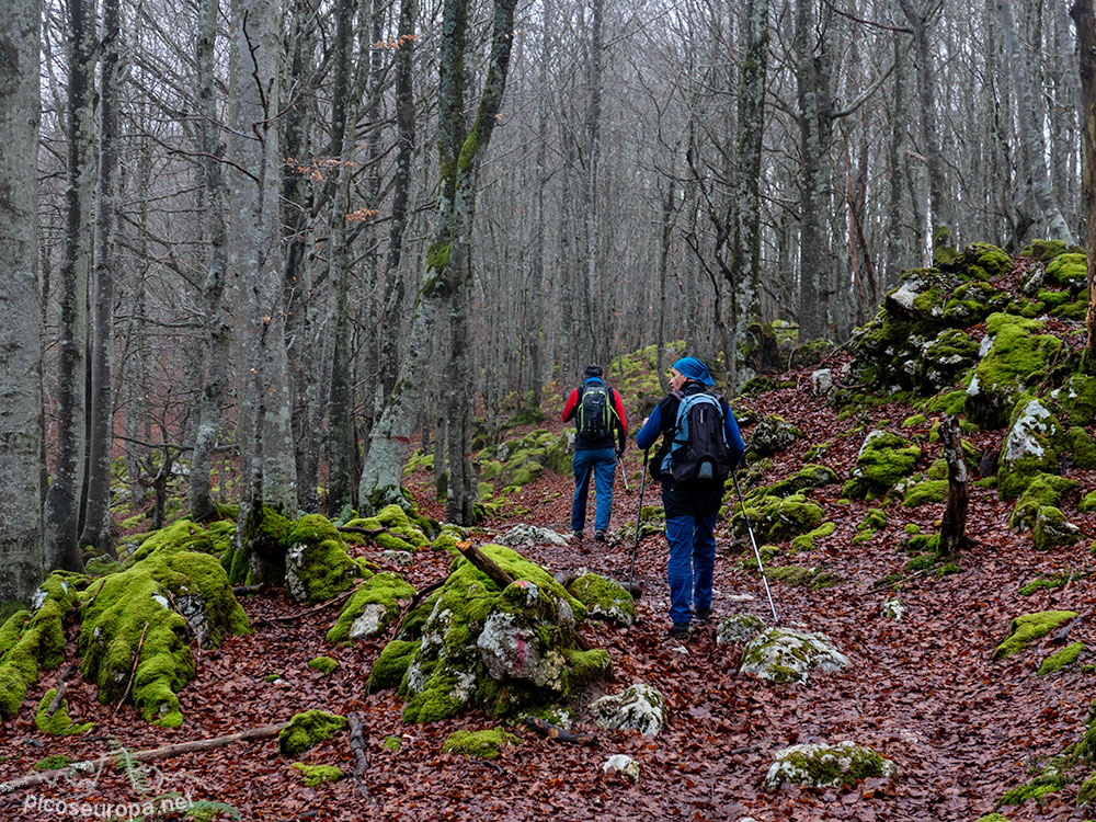 Foto: Bosque de Aizkorri, Pais Vasco