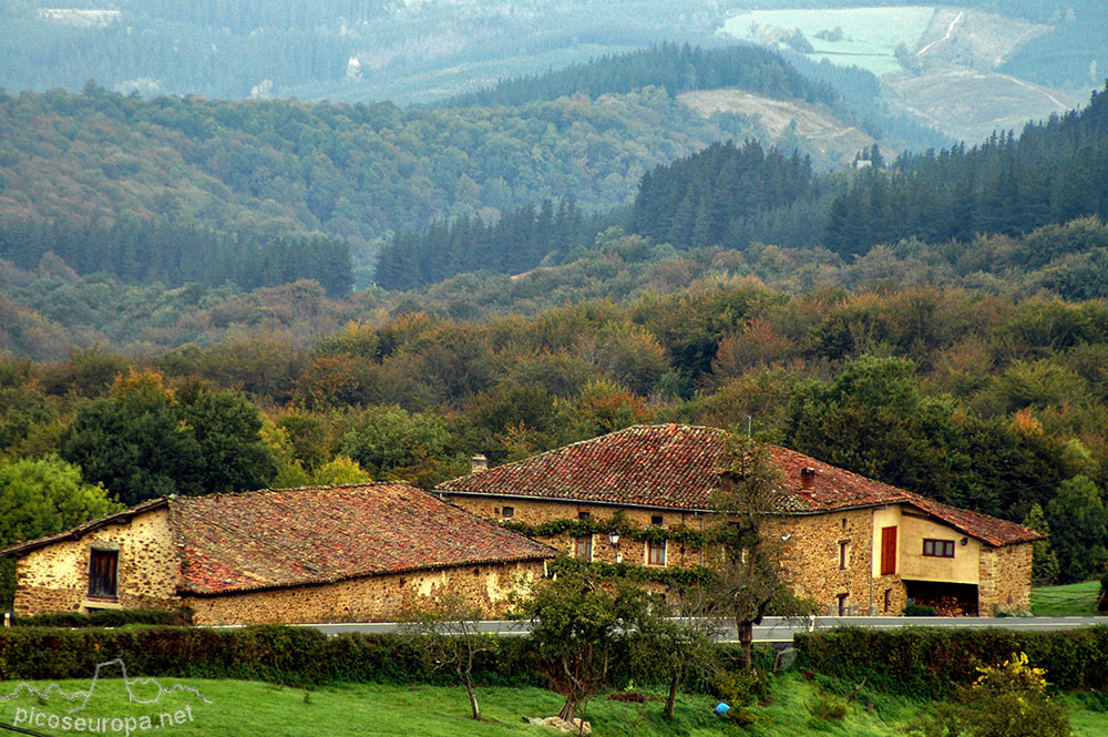 Otoño en los bosques de Altube, en las faldas del Monte Gorbia, Pais Vasco