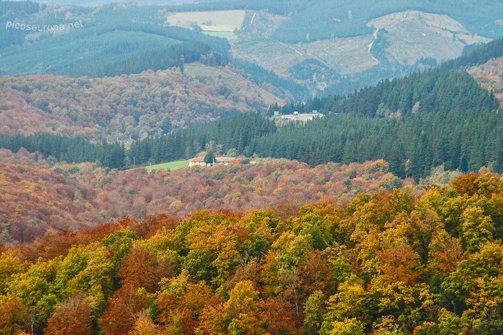 Otoño en los bosques de Altube, en las faldas del Monte Gorbia, Pais Vasco