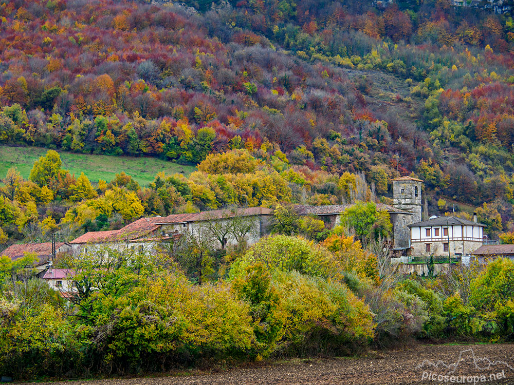 Foto: Otoño en los bosques Andoin, cascadas Toberia, Pais Vasco