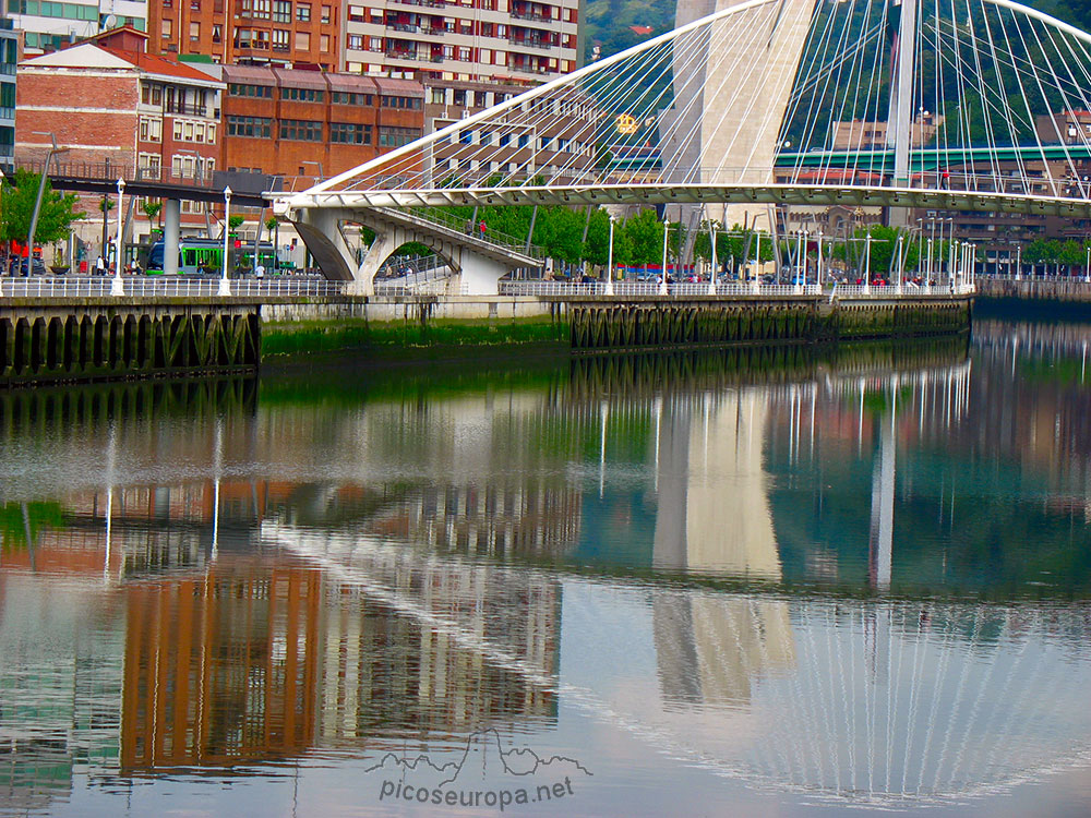 Foto: Puente de Calatrava, Bilbao, Bizkaia, Pais Vasco