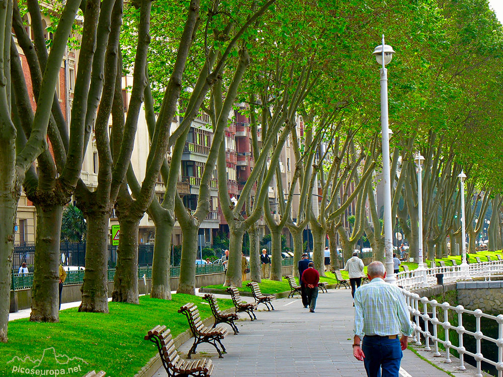 Foto: Bilbao, Bizkaia, Pais Vasco