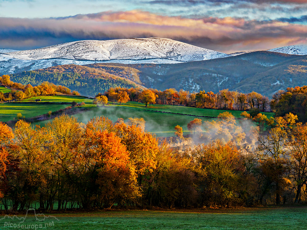 Hay rincones donde todavía perviven los colores del otoño. Gujuli, Pais Vasco, 30 de noviembre del 2021.