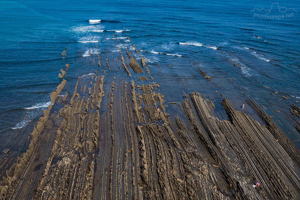 Costa Itziar, playa de Sakoneta, Flish del Mar Cantábrico, Pais Vasco