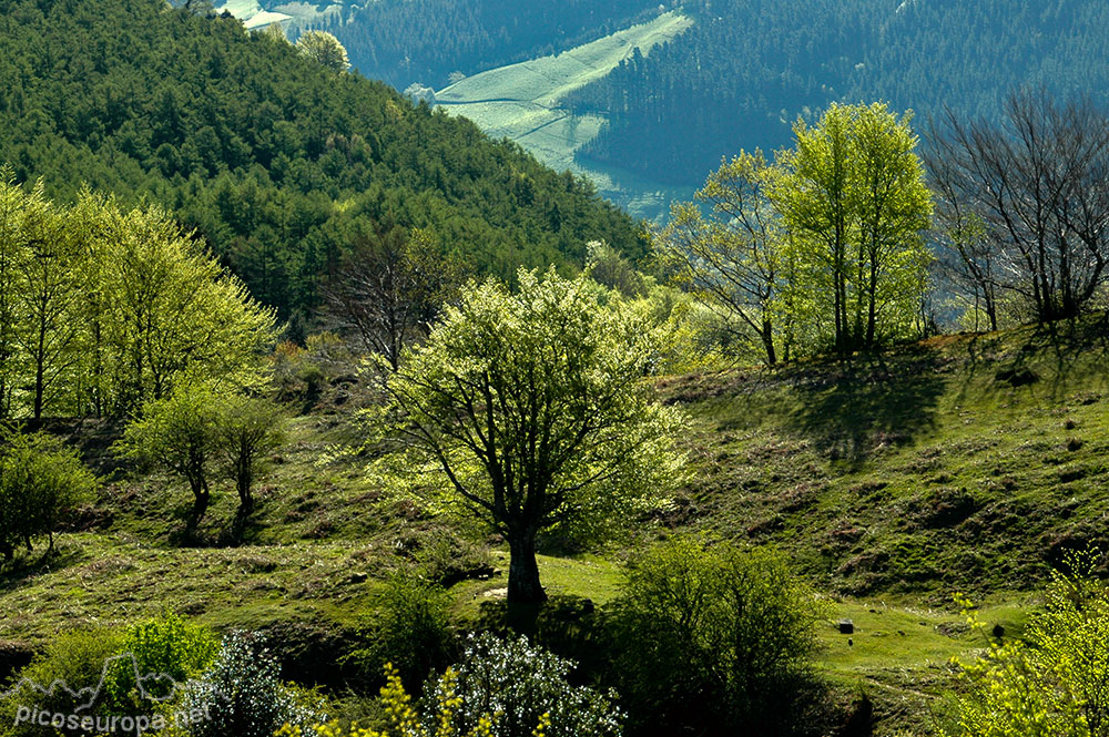 Parque Natural del Gorbea, Pais Vasco