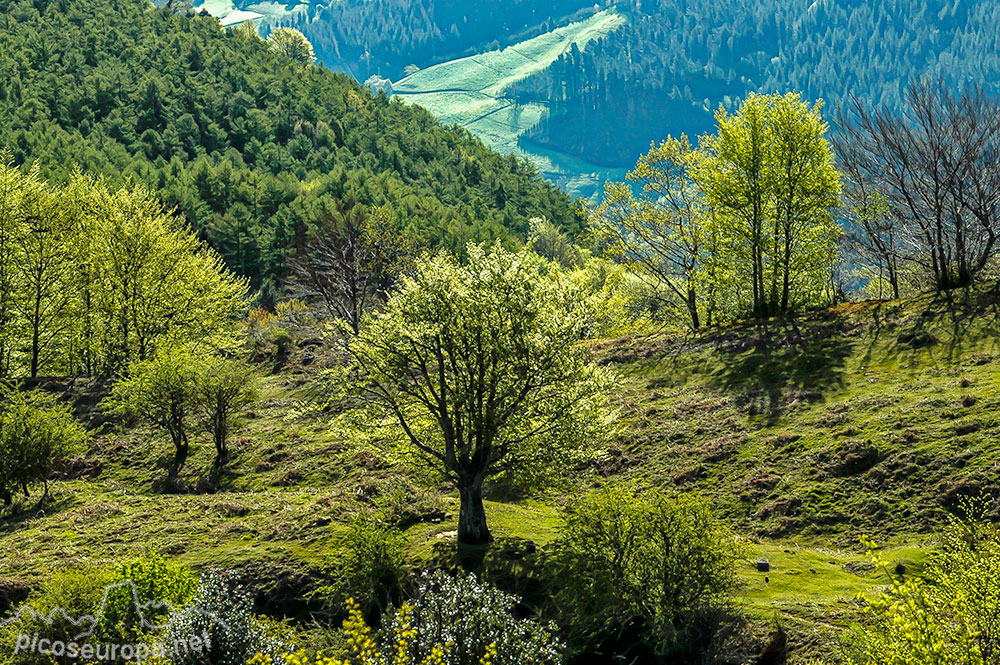 Parque Natural del Gorbea, Pais Vasco