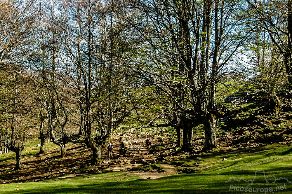 Parque Natural del Gorbea, Pais Vasco