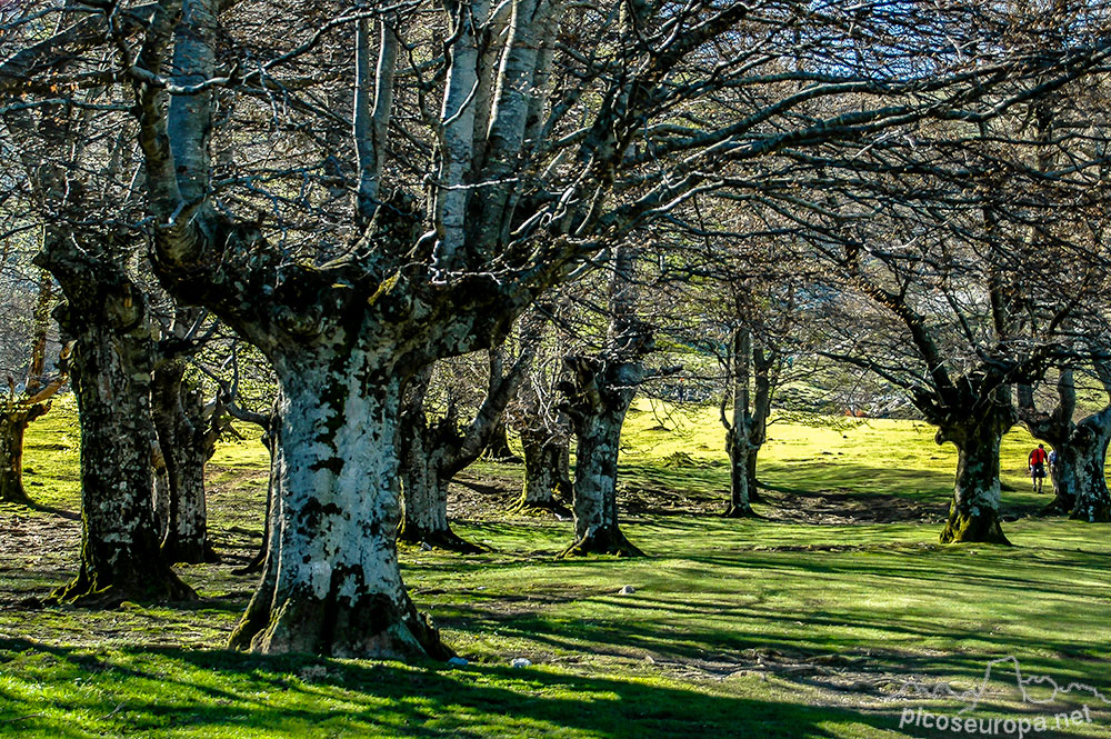 Parque Natural del Gorbea, Pais Vasco