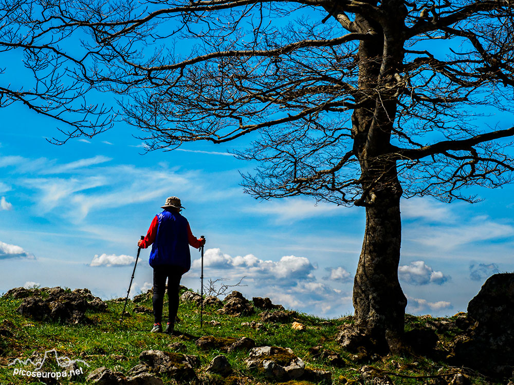 Por la Sierra de Entzia desde el Puerto de Opakua, Pais Vasco.