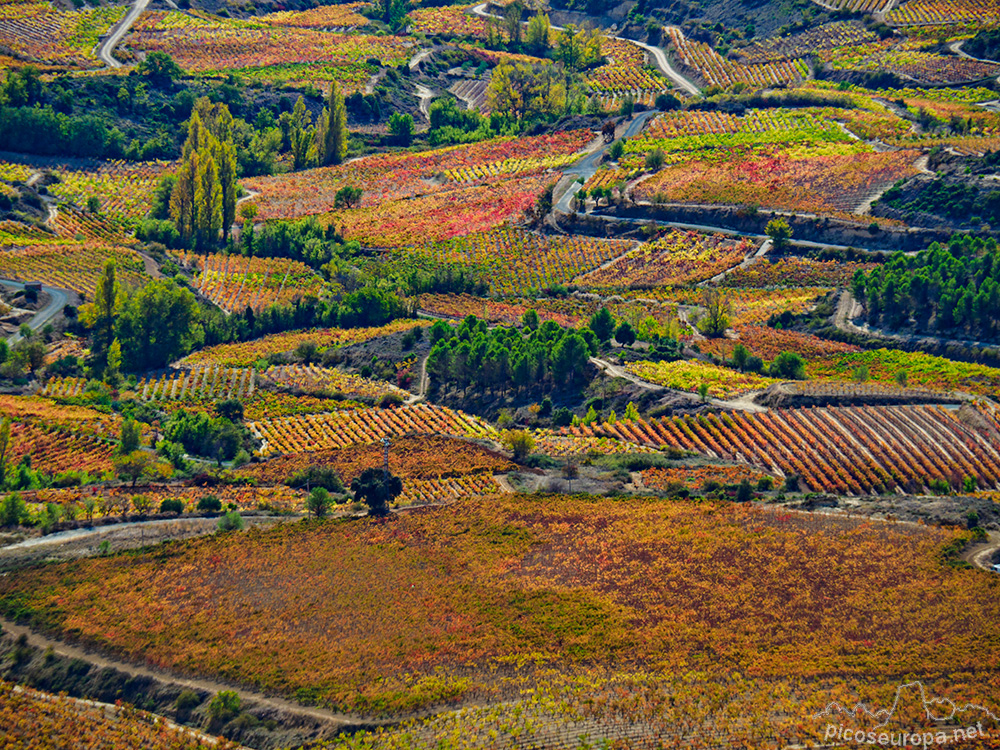 Foto: Otoño en la Rioja Alavesa desde el Puerto de Herrera