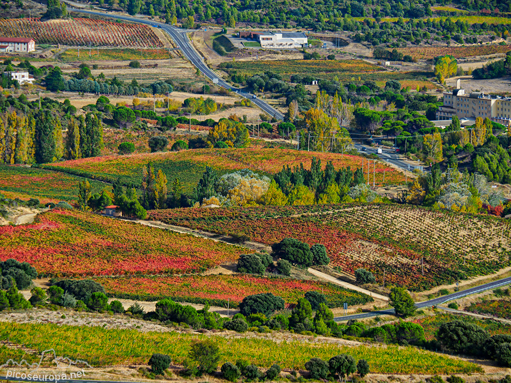 Foto: Otoño en la Rioja Alavesa