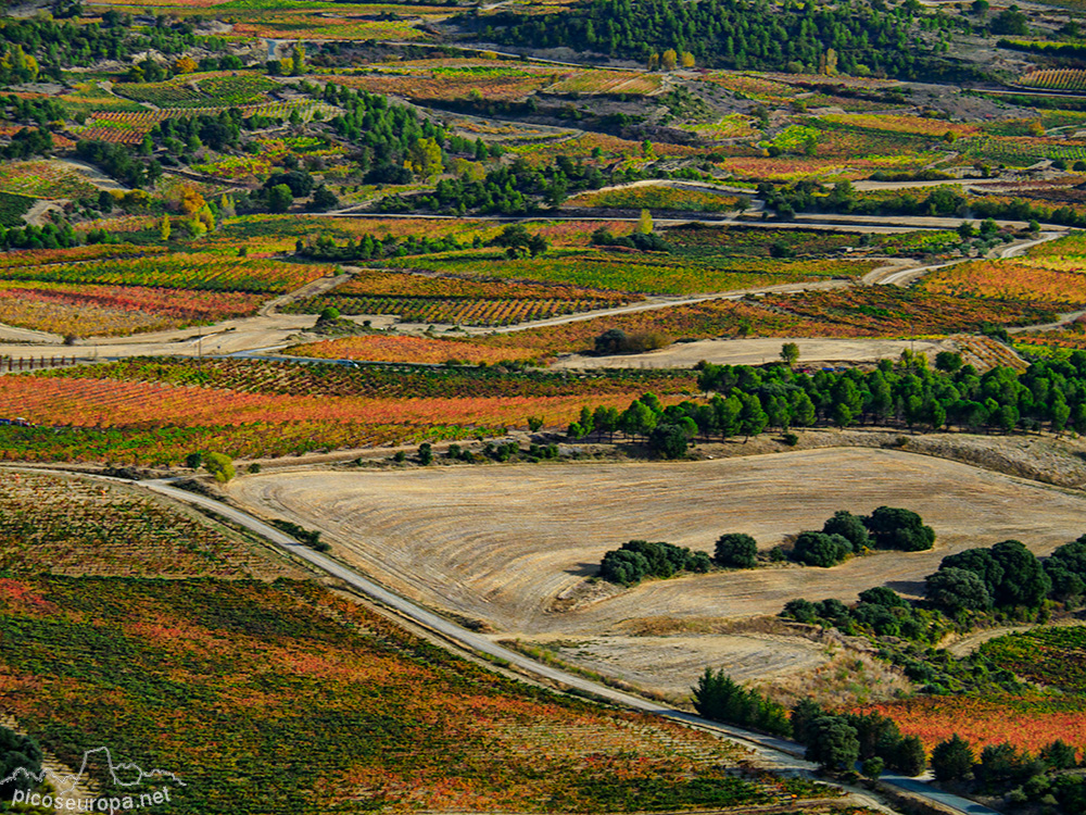 Foto: Otoño en la Rioja Alavesa