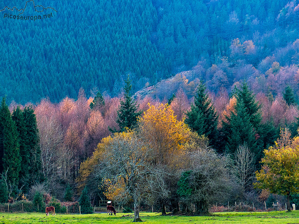 Foto: Humedal de Saldropo, Pais Vasco