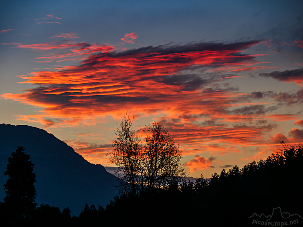 Foto: Humedal de Saldropo, Pais Vasco