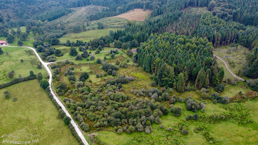 Foto: Humedal de Saldropo, Pais Vasco