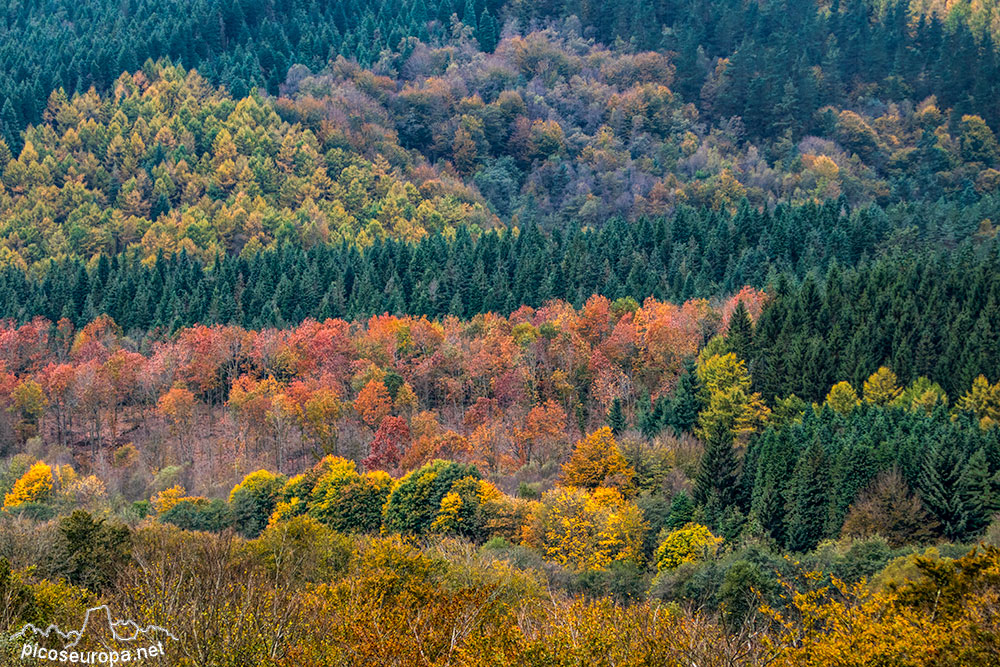 Foto: Otoño en el Parque Natural de Urkiola, Pais Vasco