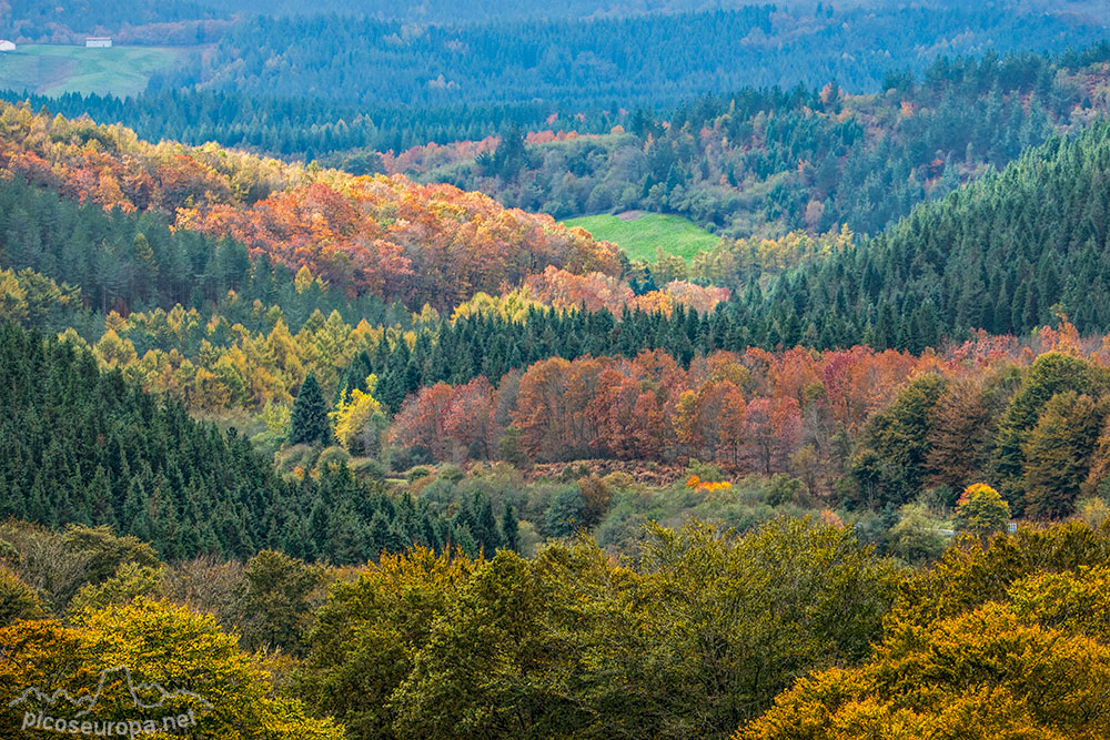 Foto: Paisaje típico de Urkiola