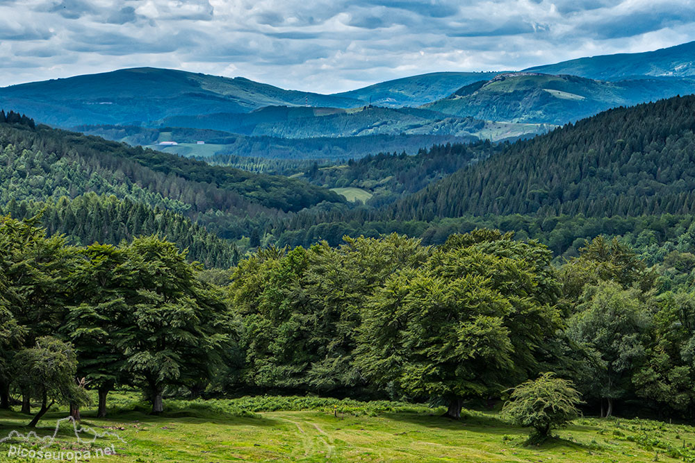 Foto: Paisaje típico de Urkiola