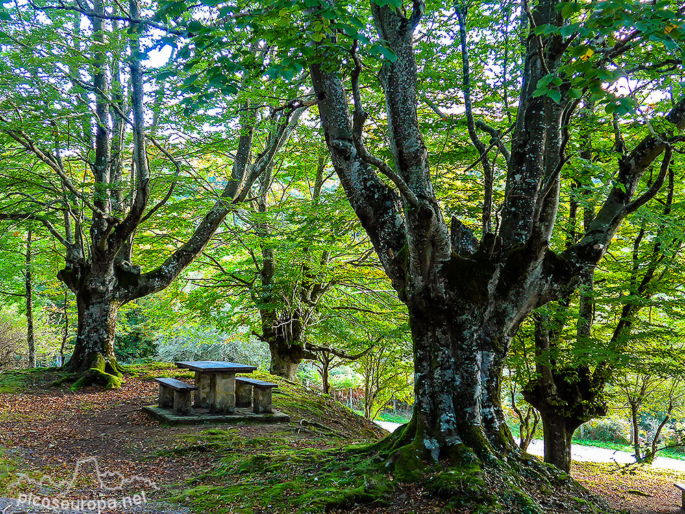 Puerto, mirador, santuario y bosque de Urkiola, Parque Natural de Urkiola, Pais Vasco
