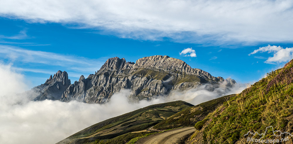 Peñas de Cifuentes