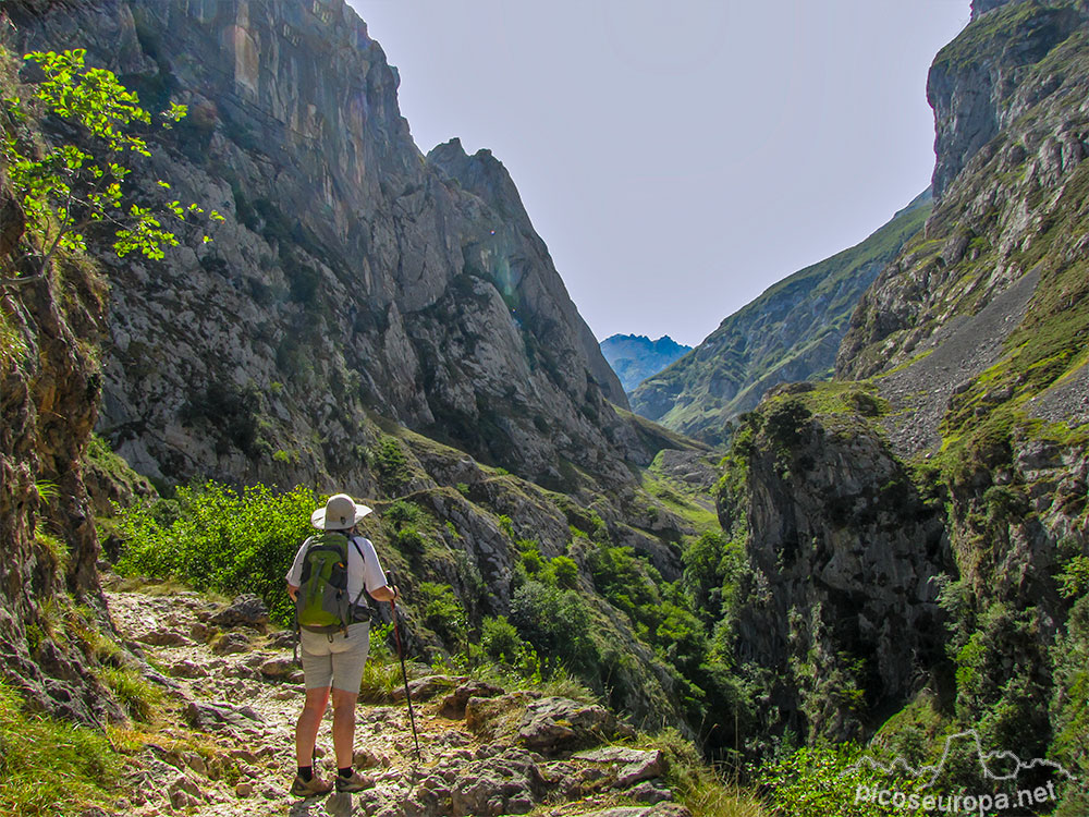 Foto: Canal del Tejo, Picos de Europa