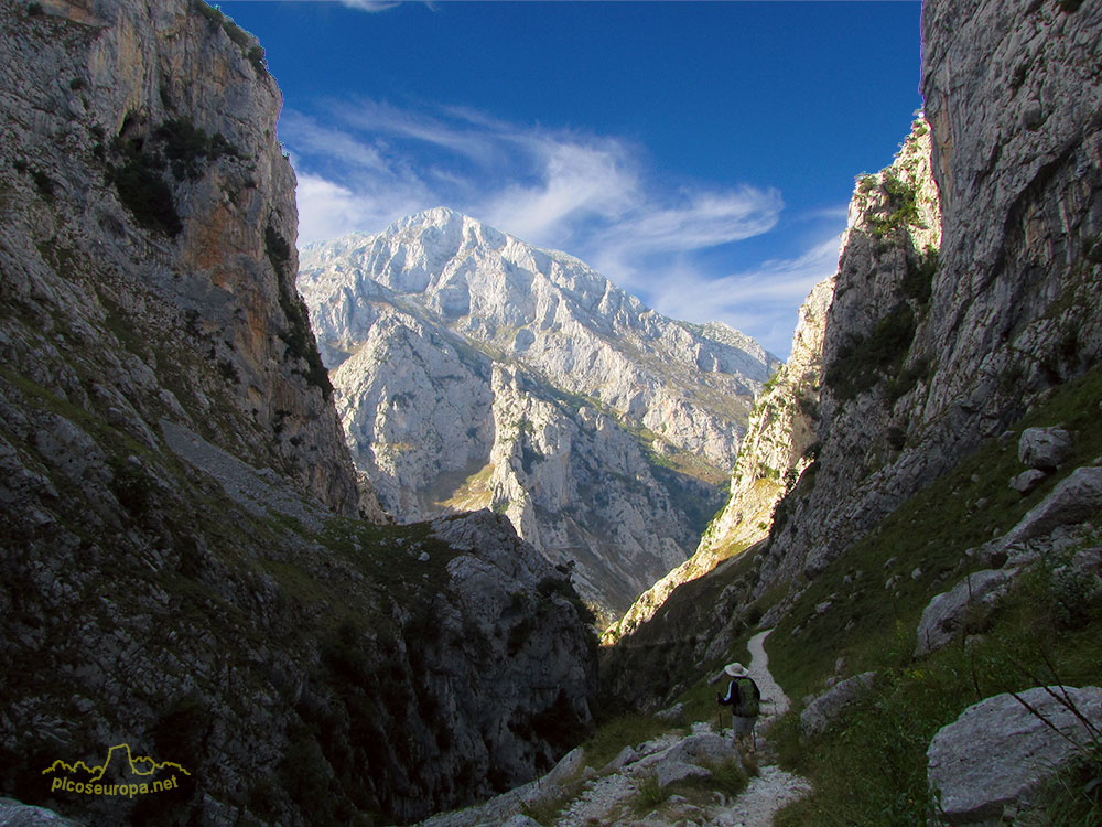 Camino tradicional de subida a Bulnes, La Canal del Tejo