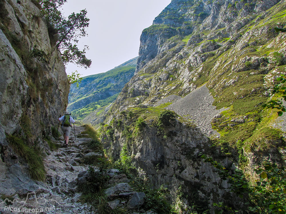 Foto: Canal del Tejo, Picos de Europa