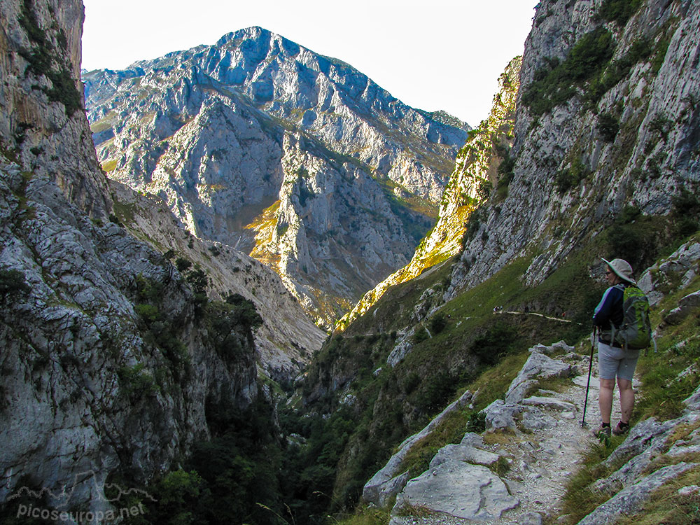 Foto: Canal del Tejo, Picos de Europa