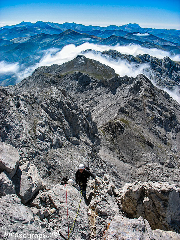 Foto: Arista Madejuno - Tiro Llago, Picos de Europa