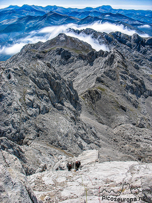 Foto: Arista Madejuno - Tiro Llago, Picos de Europa