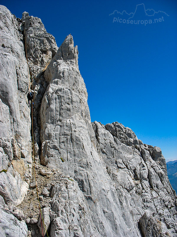 Foto: Arista Madejuno - Tiro Llago, Picos de Europa