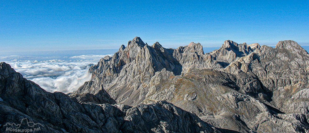 Foto: Arista Madejuno - Tiro Llago, Picos de Europa