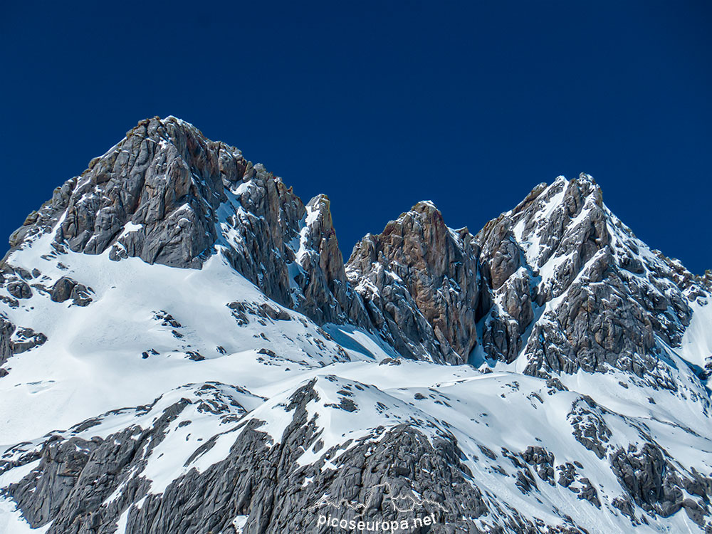 Foto: Arista Madejuno - Tiro Llago, Picos de Europa