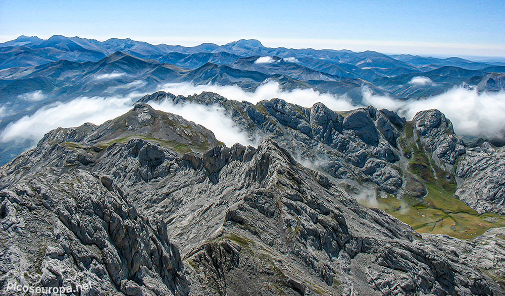 Foto: Arista Madejuno - Tiro Llago, Picos de Europa