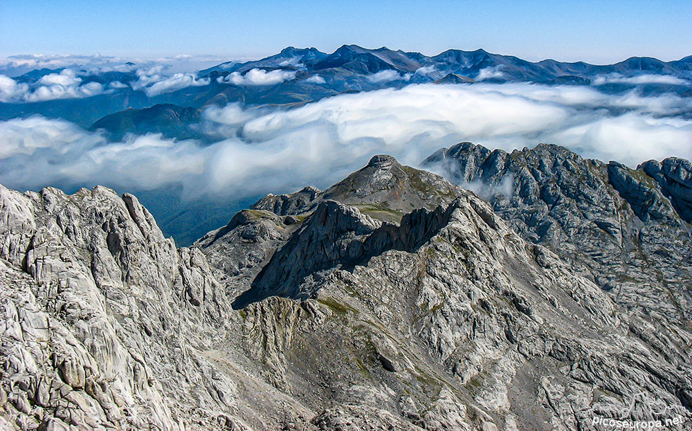 Foto: Arista Madejuno - Tiro Llago, Picos de Europa