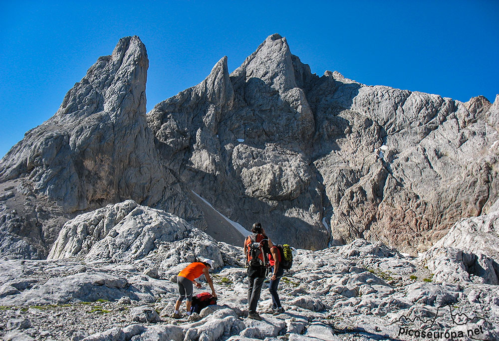 Foto: Torre Cerredo desde el Jou Negro, Parque Nacional de Picos de Europa