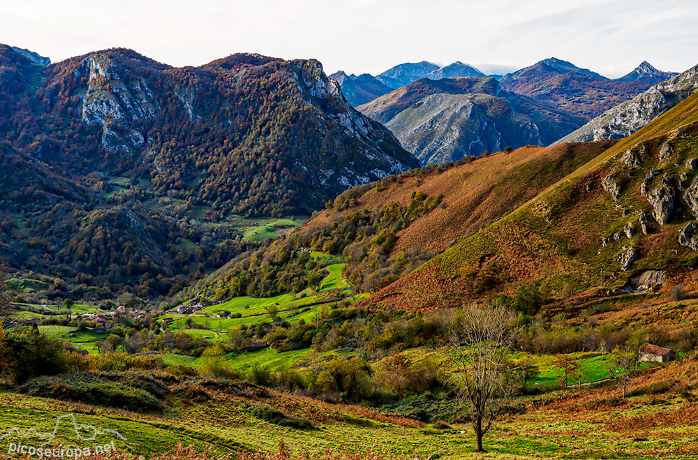 Amieva y Cordillera Cantábrica