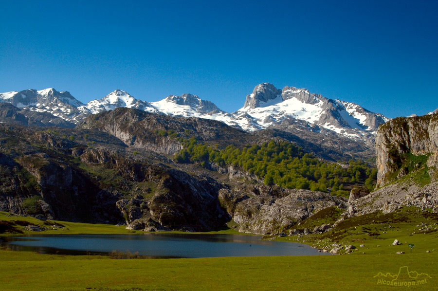 Lago de la Ercina, Lagos de Covadonga, Cornion, Picos de Europa, Parque Nacional, Asturias