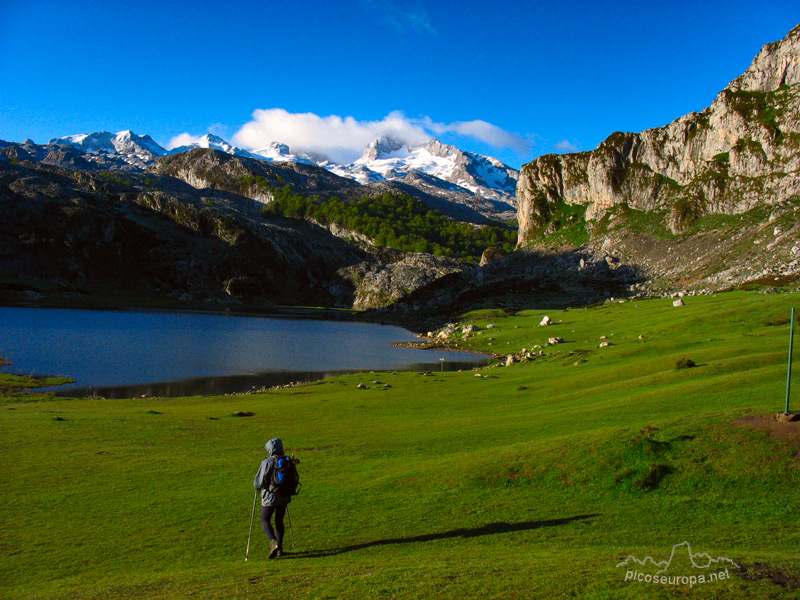 Lago de la Ercina, Lagos de Covadonga, Cornion, Picos de Europa, Parque Nacional, Asturias
