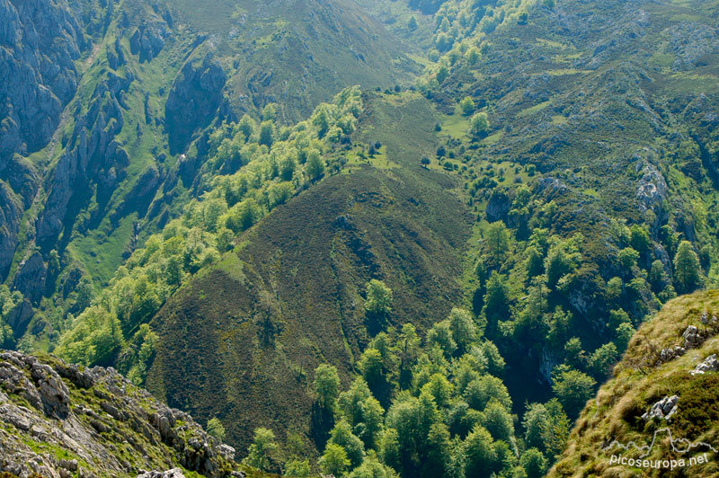 Hoyo la Madre, Cornion, Picos de Europa, Parque Nacional, Asturias