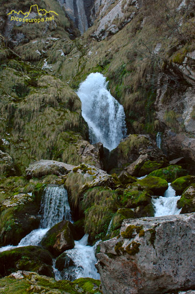 Hoyo la Madre, Cornion, Picos de Europa, Parque Nacional, Asturias