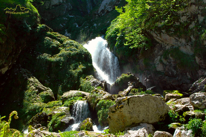 Hoyo la Madre, Cornion, Picos de Europa, Parque Nacional, Asturias