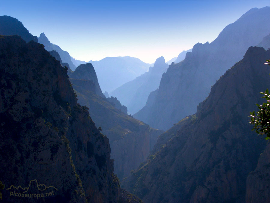 Desfiladero del Cares desde las proximidades de la Majada de Oston, Cornion, Picos de Europa, Parque Nacional, Asturias