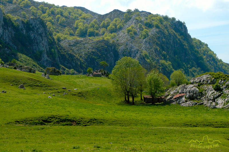 Vega de Comeya, Lagos de Covadonga, Cornion, Picos de Europa, Parque Nacional, Asturias