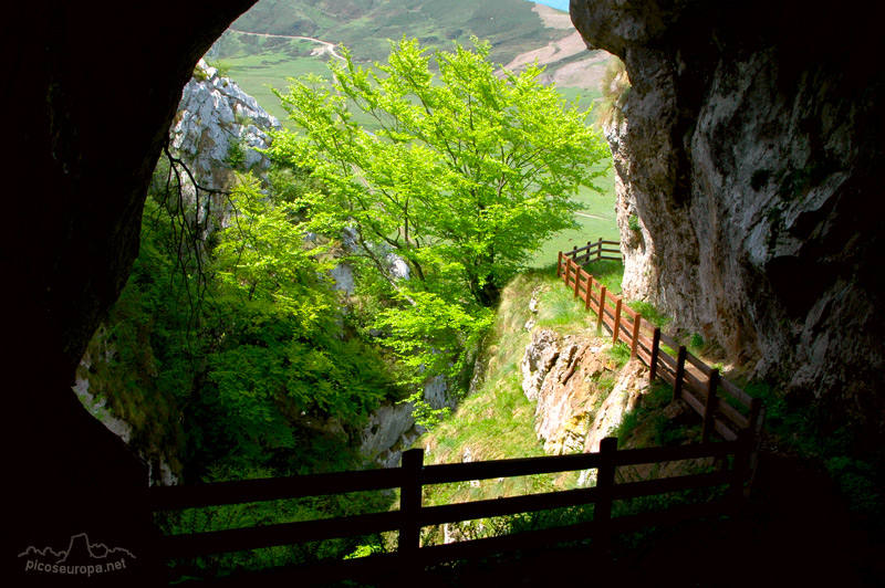 Fueracon, Vega de Comeya, lagos de Covadonga, Cornion, Picos de Europa, Parque Nacional, Asturias