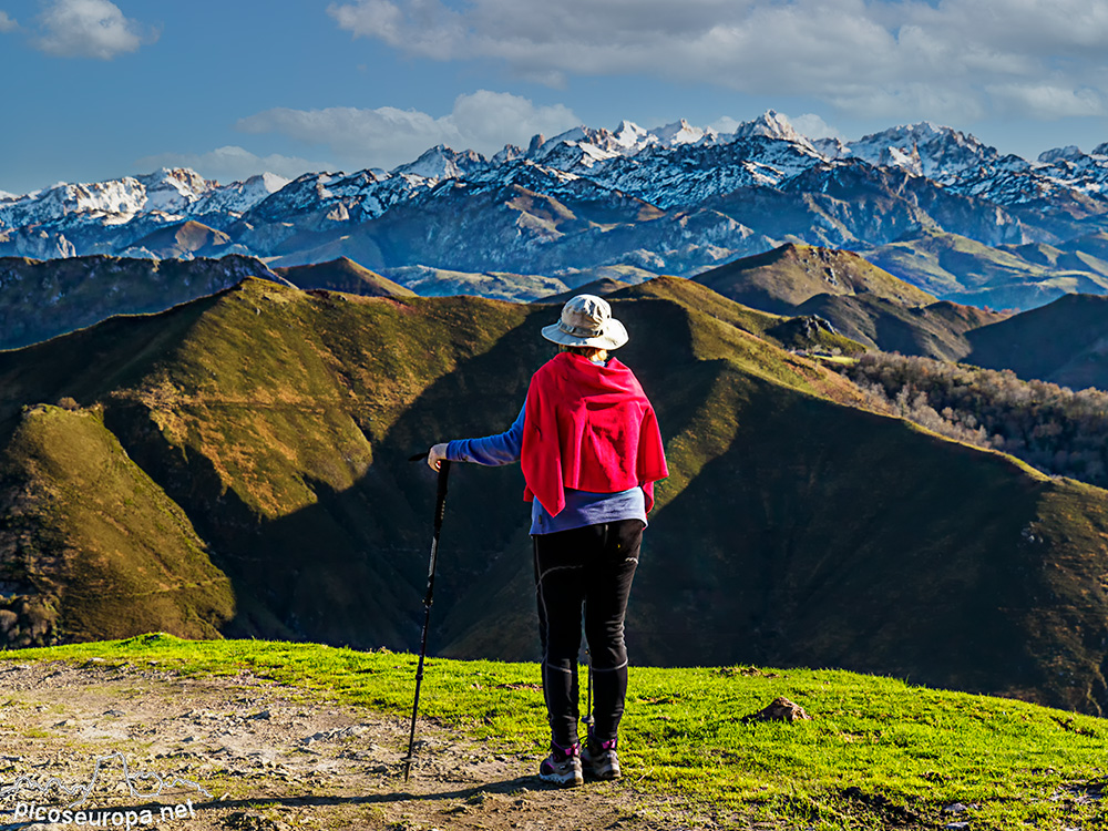 Picos de Europa desde la subida al Mofrechu