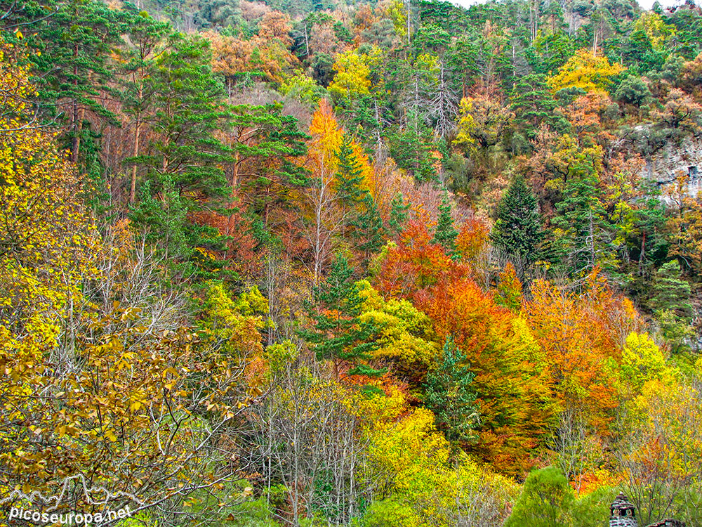De Anso a Zuriza, Parque Natural de los Valles Occidentales, Pirineos de Huesca, Aragón