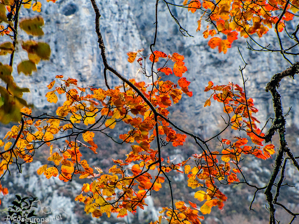 De Anso a Zuriza, Parque Natural de los Valles Occidentales, Pirineos de Huesca, Aragón