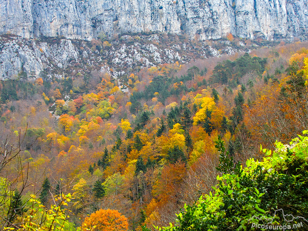 De Anso a Zuriza, Parque Natural de los Valles Occidentales, Pirineos de Huesca, Aragón